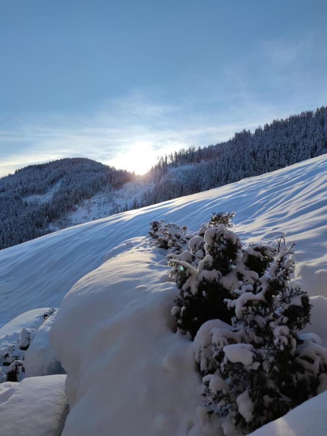 Batacoer - Natures Heartbeat San Vigilio Di Marebbe Eksteriør billede